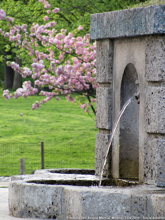 Citta' d'acqua - Fontana dell'Acqua Marcia.