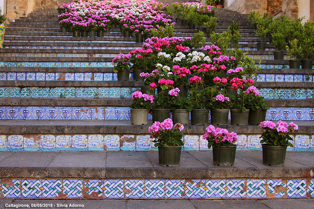 Caltagirone - Scalinata di Santa Maria del Monte