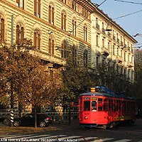 I tram speciali - Tramito