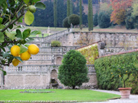 Villa Della Porta Bozzolo - Il giardino