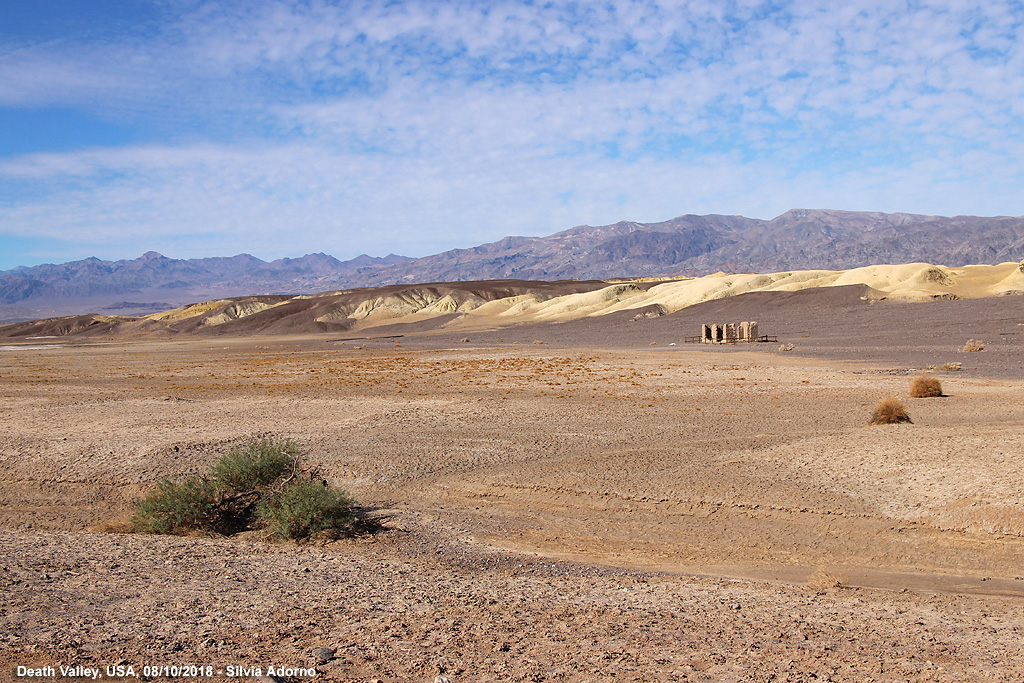 Cartoline - Nel deserto