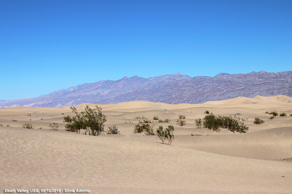 Death Valley - Dune di sabbia