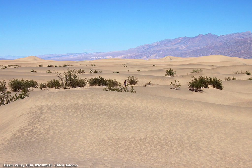 Death Valley - Dune di sabbia