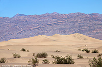 Death Valley - Dune di sabbia