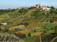 Tra Appennino e Monferrato - San Marzanotto