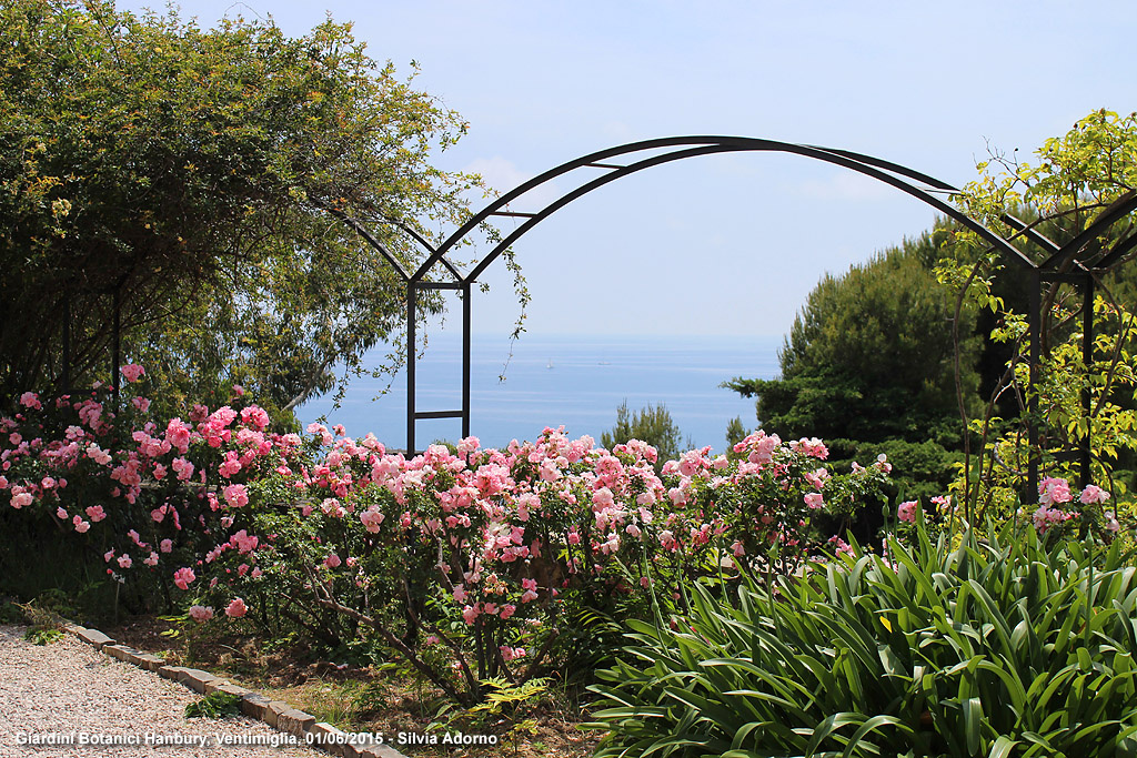 Giardini botanici Hanbury - Terrazza sud