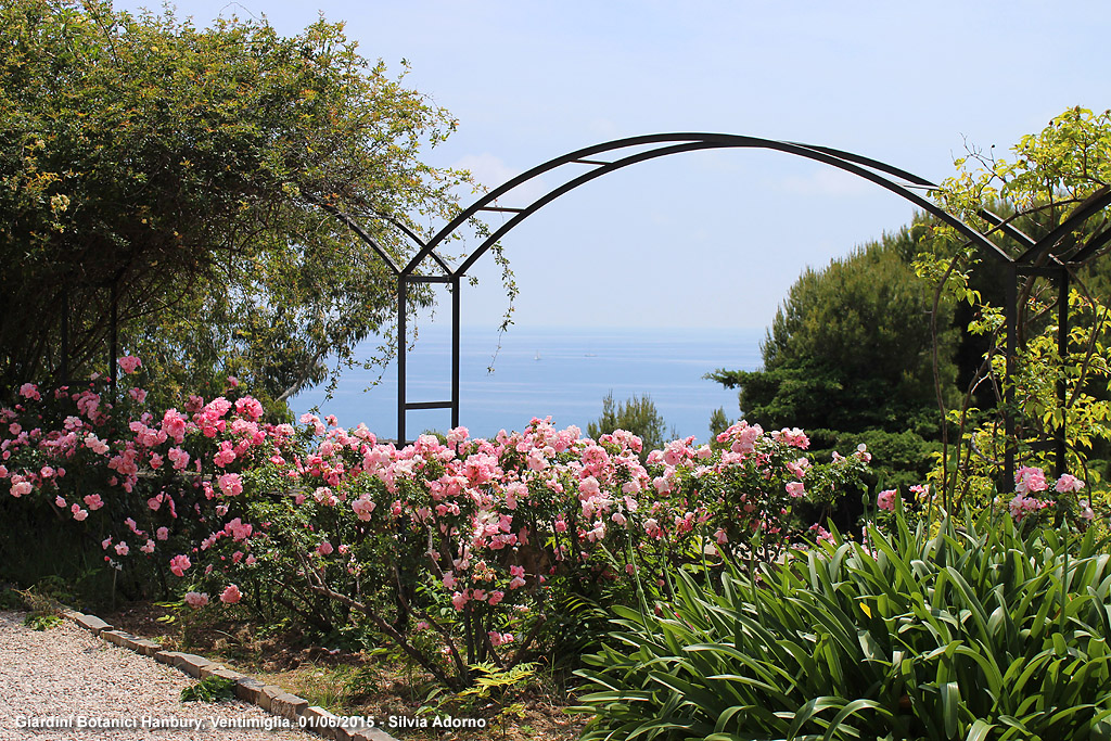 Giardini botanici Hanbury - Terrazza sud