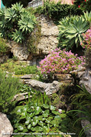 Giardini botanici Hanbury - Fontana Nirvana