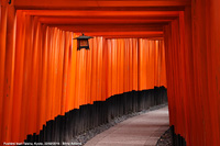 Santuari shintoisti - Fushimi Inari Taisha