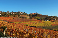 Colori tra le vigne - Diano d'Alba