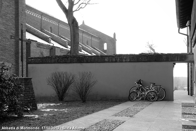 Scorci in bianco e nero - Biciclette