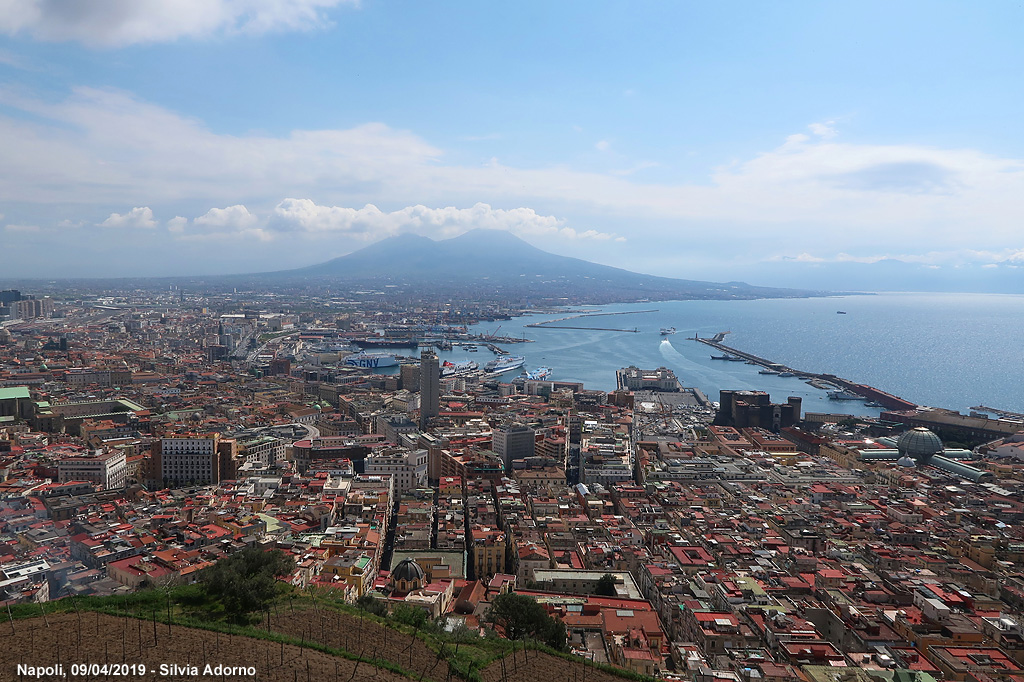 Napoli e il paesaggio - Panorama