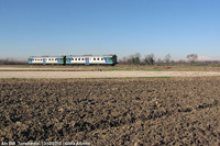 Quadri di campagna - Torreberetti