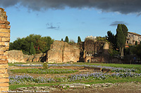 La Roma antica - Palatino