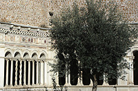 Tra cupole e fontane - San Giovanni in Laterano