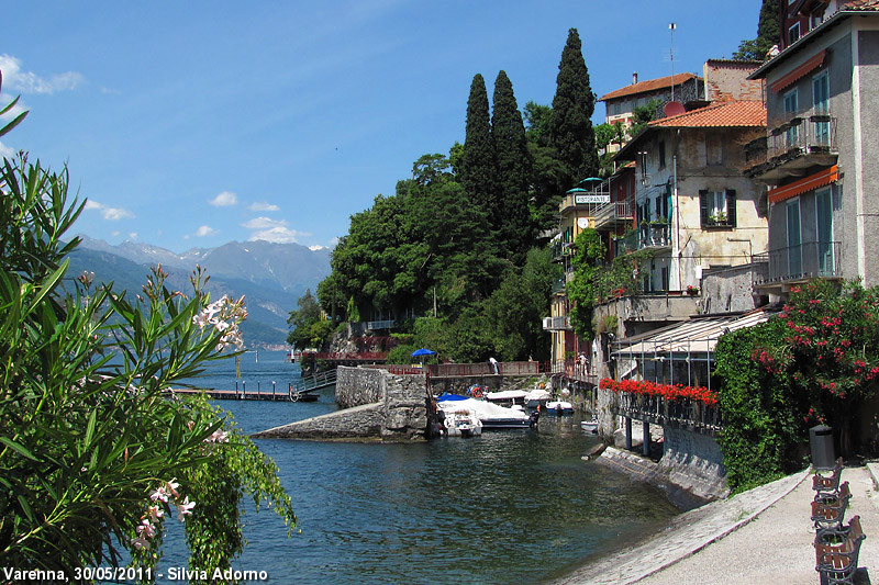 Petali e piume - Varenna, lago di Como