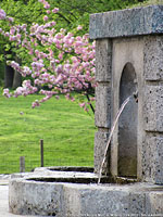 Citta' d'acqua - Fontana dell'Acqua Marcia.