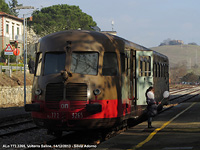 A spasso per le colline - Viva il treno!