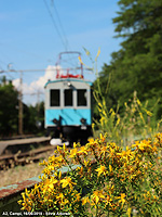 Un treno degli anni '20 - Farbenspiel