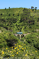 Un treno degli anni '20 - Farbenspiel