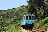 Un treno degli anni '20 - Pini e forte