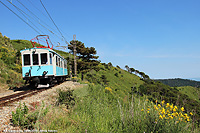 Un treno degli anni '20 - A2 e ginestra