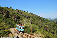 Un treno degli anni '20 - Bosco di pini