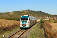 Minuetti nelle vigne - Tra campi e collina