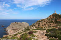 Il fascino della natura - Capo Sandalo
