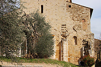 Da Siena alla Val d'Orcia - Sant'Antimo
