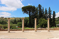Splendore a mosaico - Corte porticata