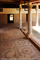 Splendore a mosaico - Peristilio
