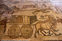 Splendore a mosaico - Corridoio della grande caccia