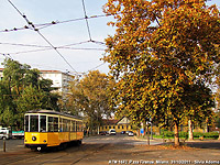 Autunno - Piazza Firenze