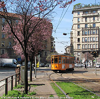 Primavera - Piazza Maria Adelaide di Savoia