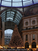 Luci di festa - Albero di Natale in galleria