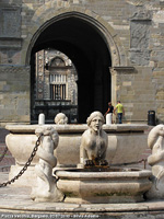 Trame di pietra - Fontana Contarini