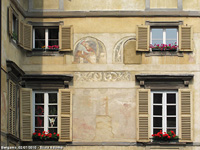 Vita quotidiana - Finestre fiorite