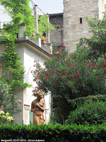 Dettagli - Giardino privato