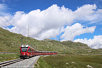 L'estate in quota - Allegra