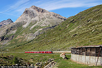 L'estate in quota - Sotto le vette