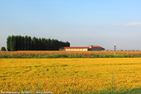 San Bernardino (NO) - Risaie e cascina