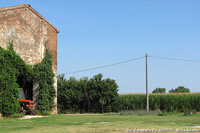 San Benedetto Po (MN) - Trattore, orto e frutteto