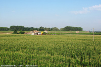 San Benedetto Po (MN) - Cascina tra il mais