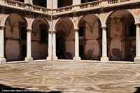 Trionfo barocco - Chiesa di San Francesco Borgia