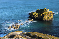 Carrick-a-Rede - Isolotti