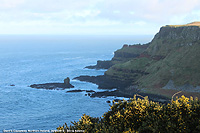 Giant's Causeway - Le scogliere
