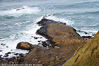 Giant's Causeway - Il selciato