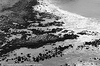 Tra rocce e schiuma - Lava e onde