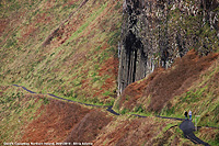 Giant's Causeway - L'organo